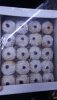 IMG-20160728-WA0003.jpg
