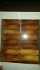 IMG-20160728-WA0004.jpg