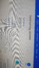 IMG-20191025-WA0046.jpeg