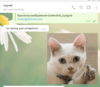 Screenshot_14.png