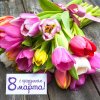 vosmoe-marta-667.jpg