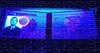 20220318_101836.jpg