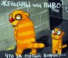 10199785.jpg