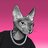 CAT_APE