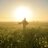 sunrise_voshod