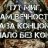 678aliev