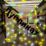 20230403-114248