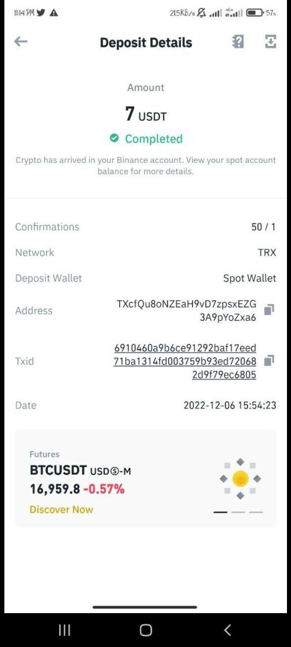 pastenow.ru